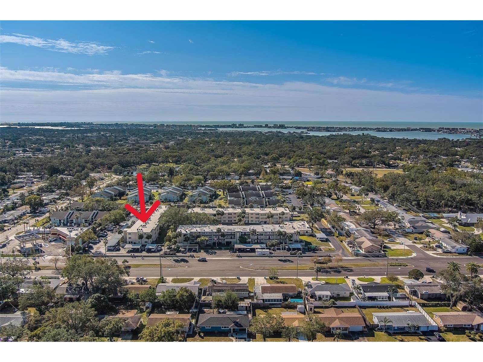 11620 Park Boulevard #209 Seminole FL 33772 TB8487671 image22
