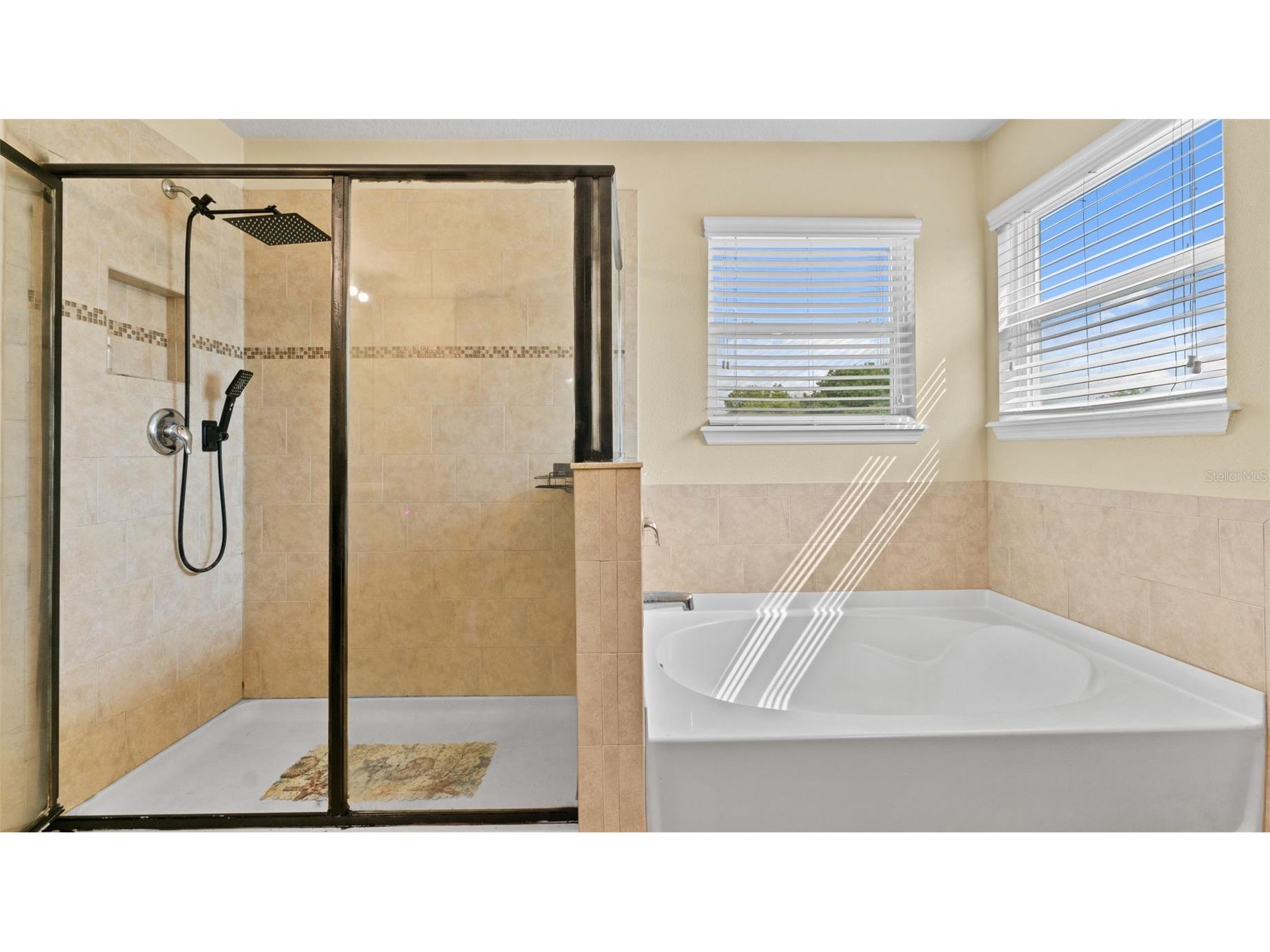 11620 Warren Oaks Pl Riverview FL 33578 TB8495634 image23