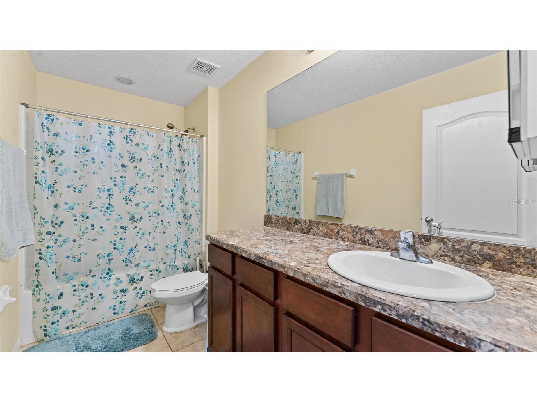 11620 Warren Oaks Pl Riverview FL 33578 TB8495634 image32