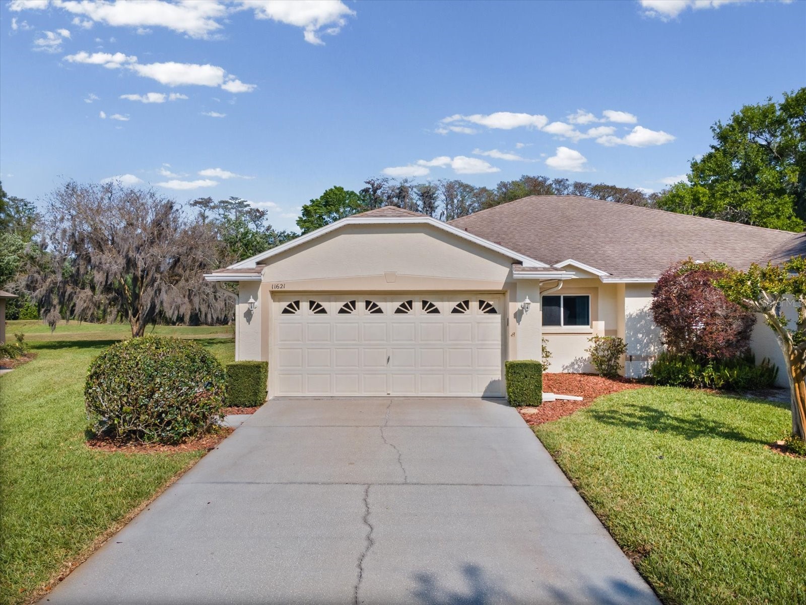 11621 Holly Ann Drive New Port Richey FL 34654 W7884297 image1
