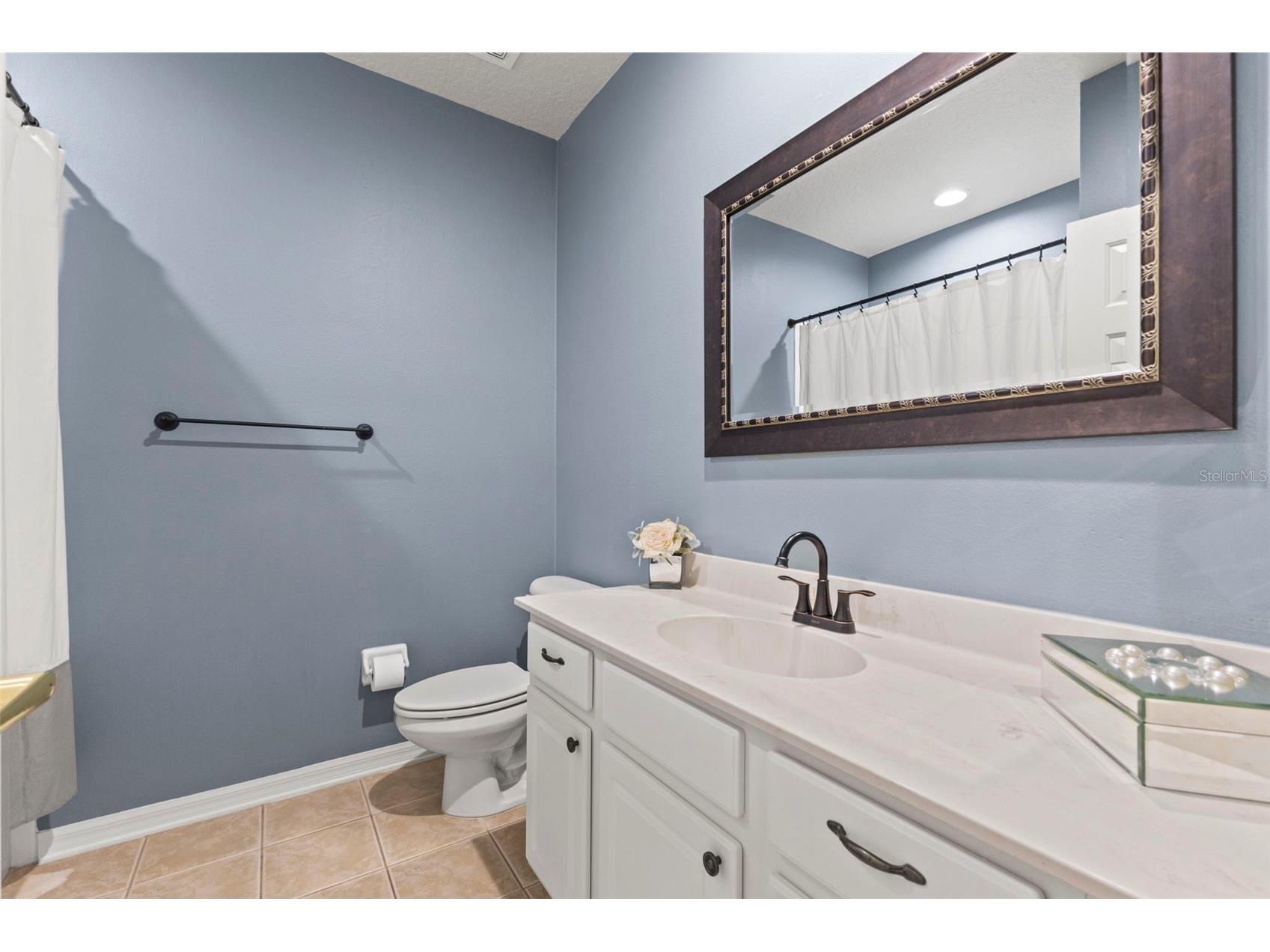 11621 Renaissance View Court Tampa FL 33626 TB8510380 image28