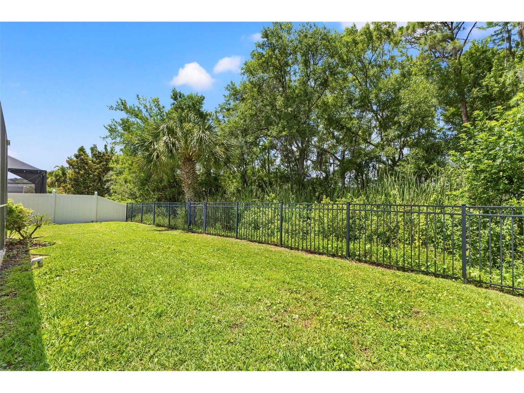11621 Renaissance View Court Tampa FL 33626 TB8510380 image3