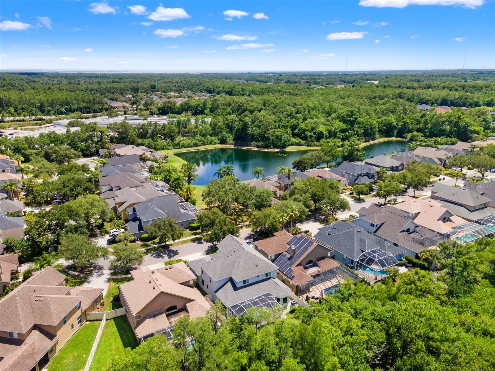 11621 Renaissance View Court Tampa FL 33626 TB8510380 image32