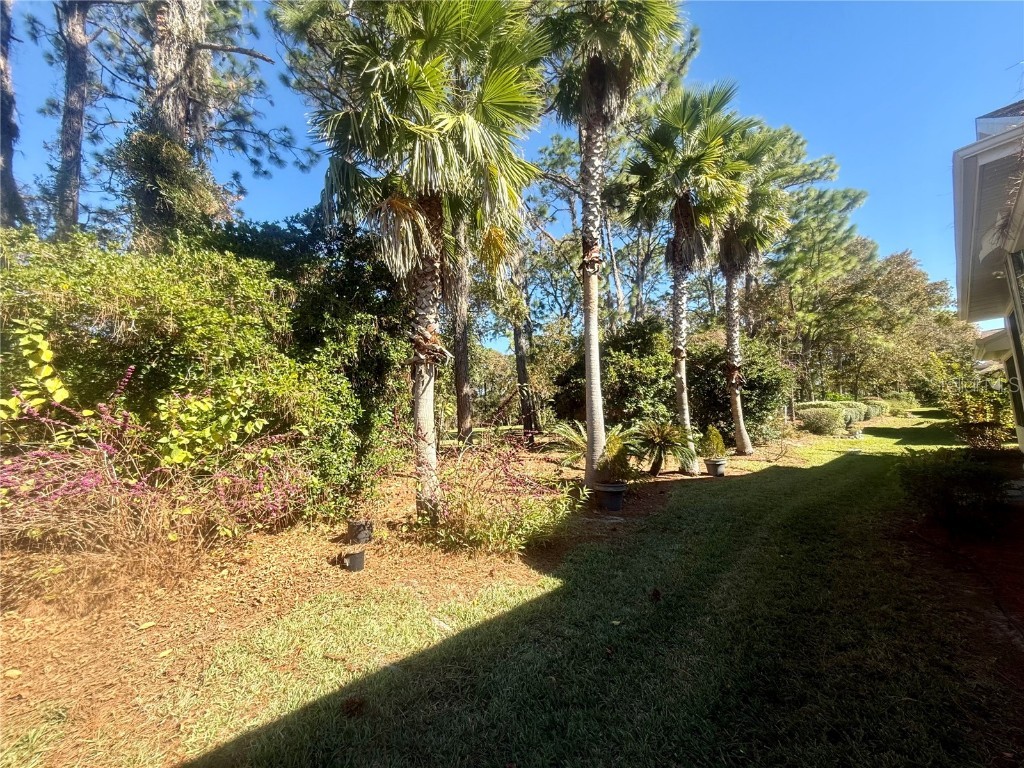 11621 SW 72nd Circle Ocala FL 34476 OM714167 image49