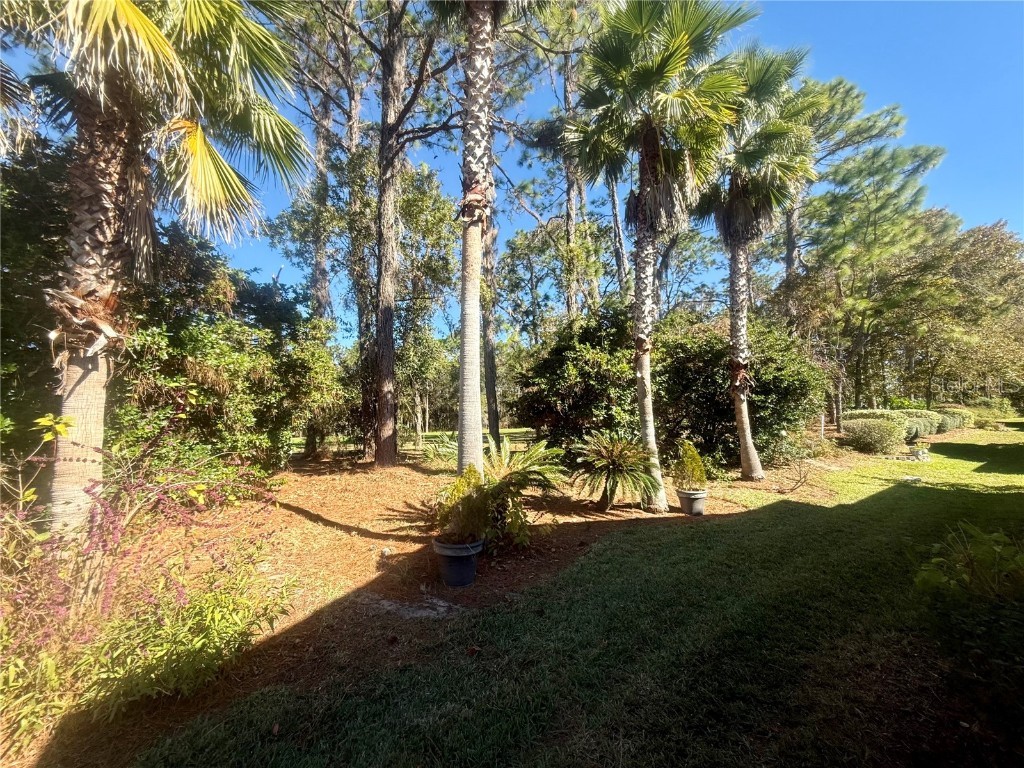 11621 SW 72nd Circle Ocala FL 34476 OM714167 image50