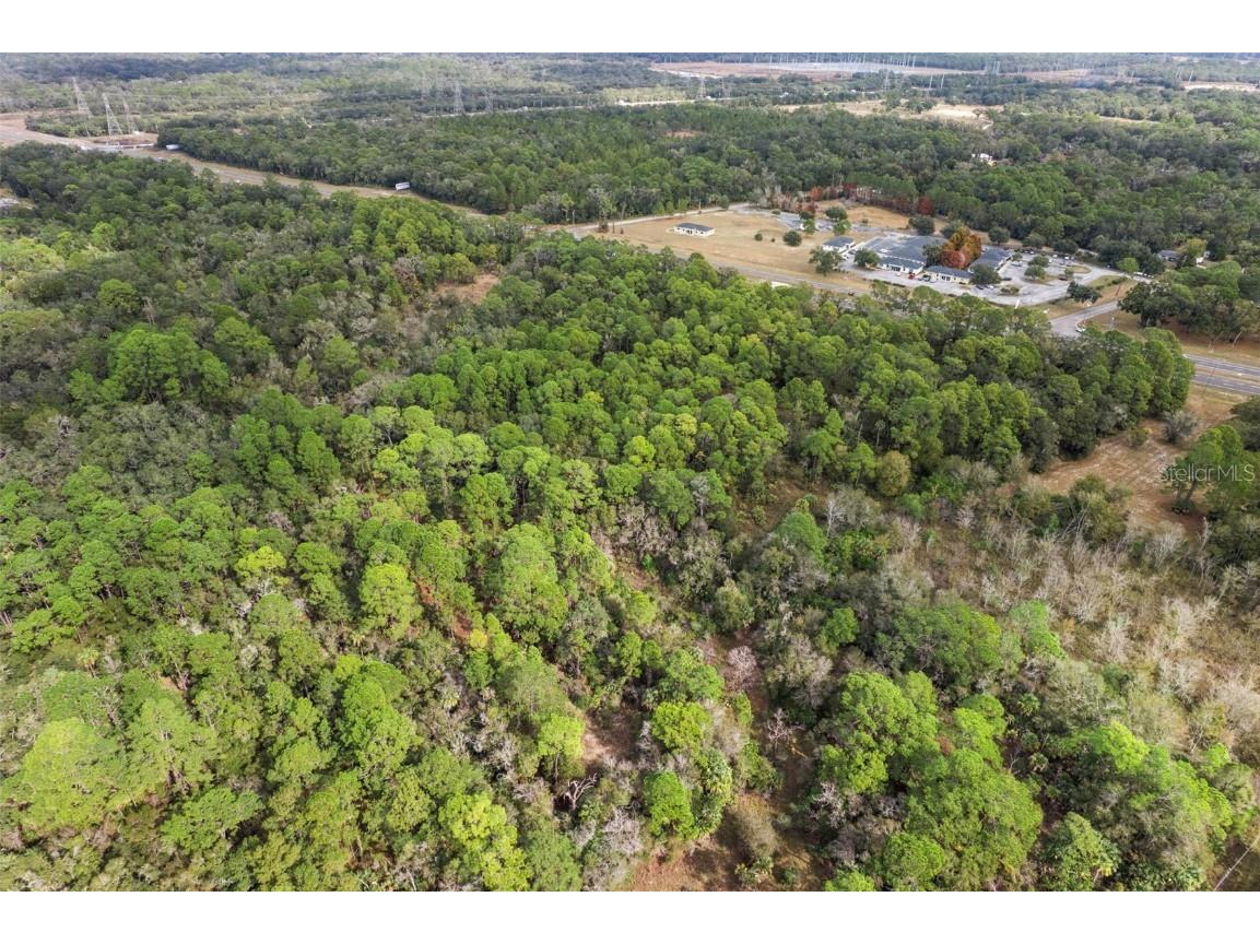 11621 W Garnet Court Crystal River FL 34428 OM714313 image17