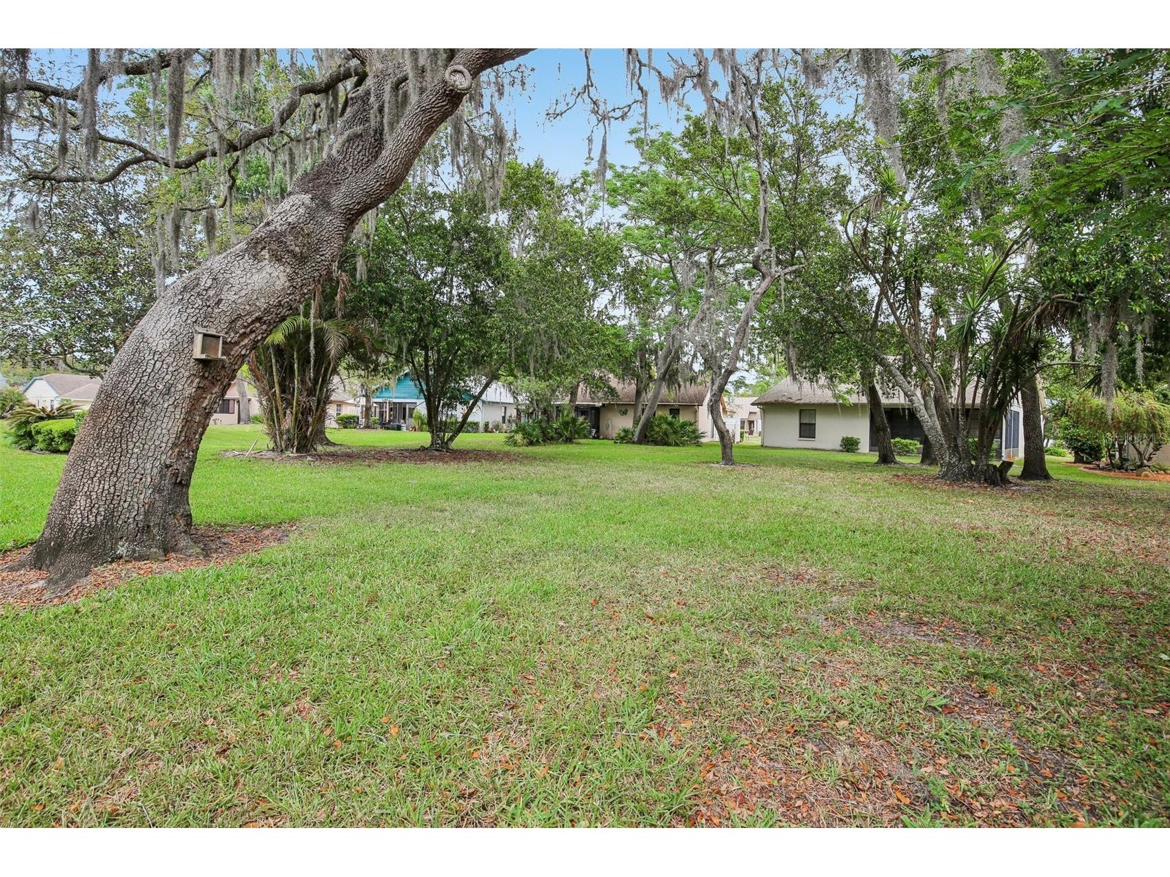 11622 Cocowood Drive New Port Richey FL 34654 G5110940 image15