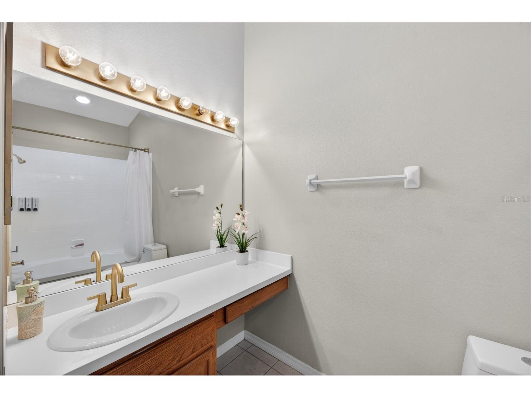 11622 Declaration Drive Tampa FL 33635 TB8469575 image24