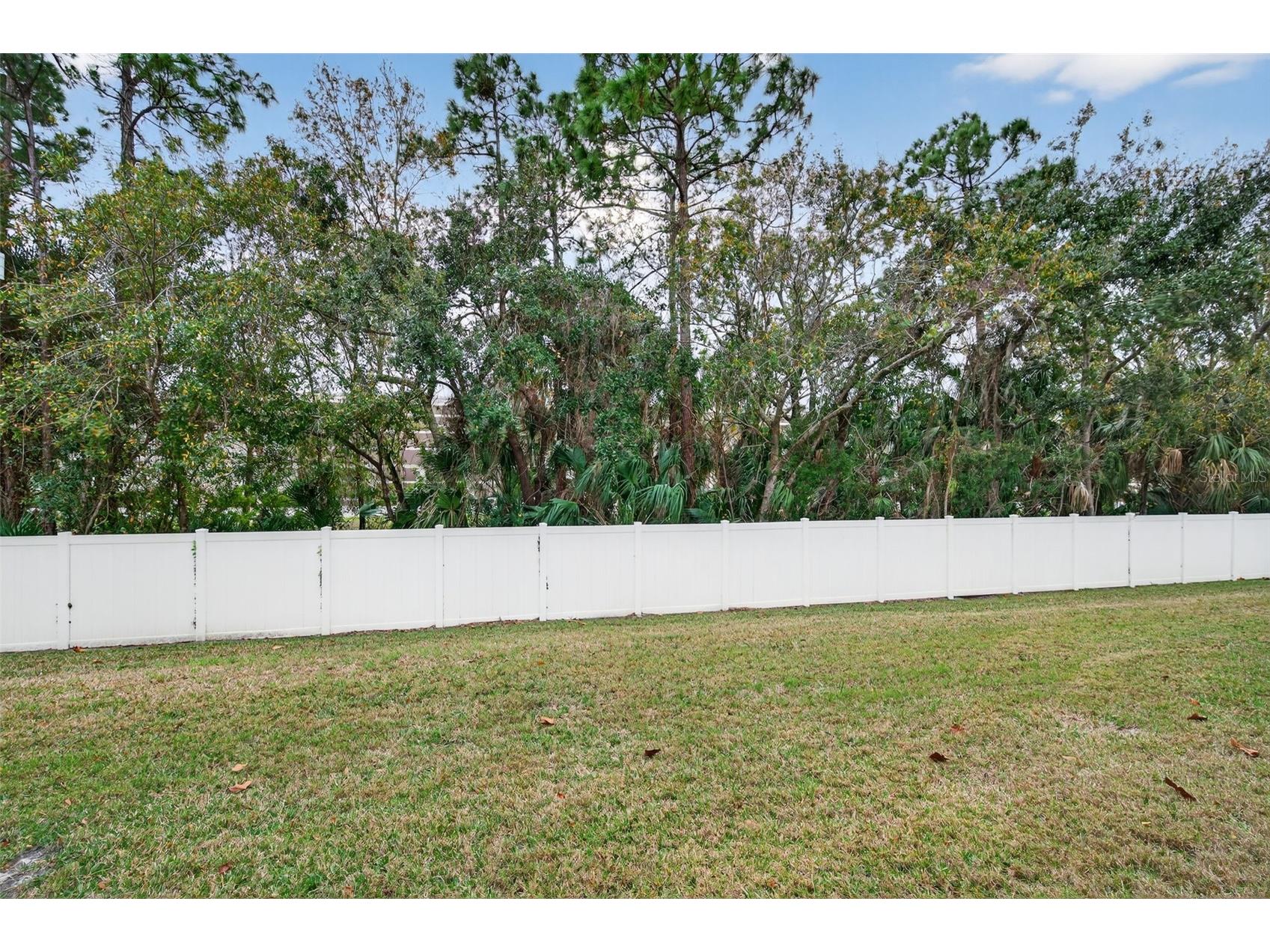 11622 Declaration Drive Tampa FL 33635 TB8469575 image35