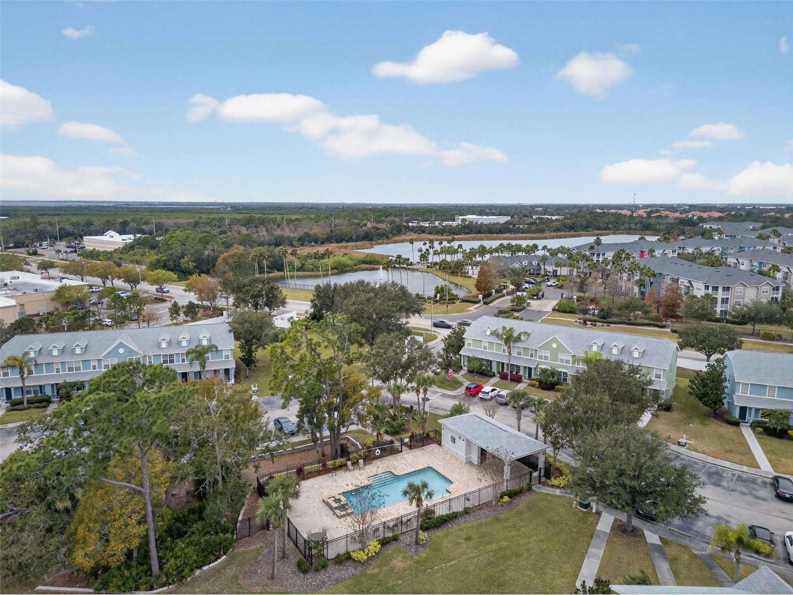 11622 Declaration Drive Tampa FL 33635 TB8469575 image39