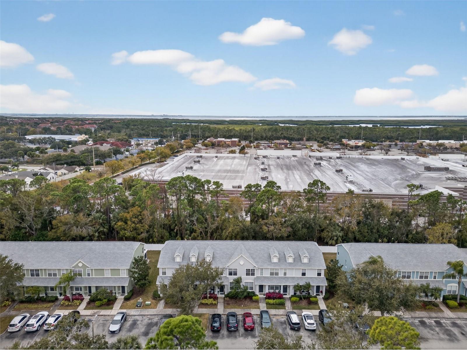 11622 Declaration Drive Tampa FL 33635 TB8469575 image41