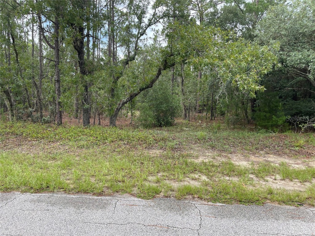 11622 W Dragonhead Drive Crystal River FL 34428 OM643994 image1