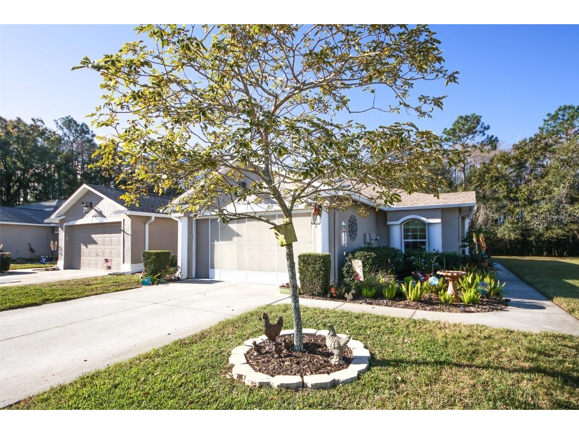 11623 Foxworth Lane New Port Richey FL 34654 W7860750 image1