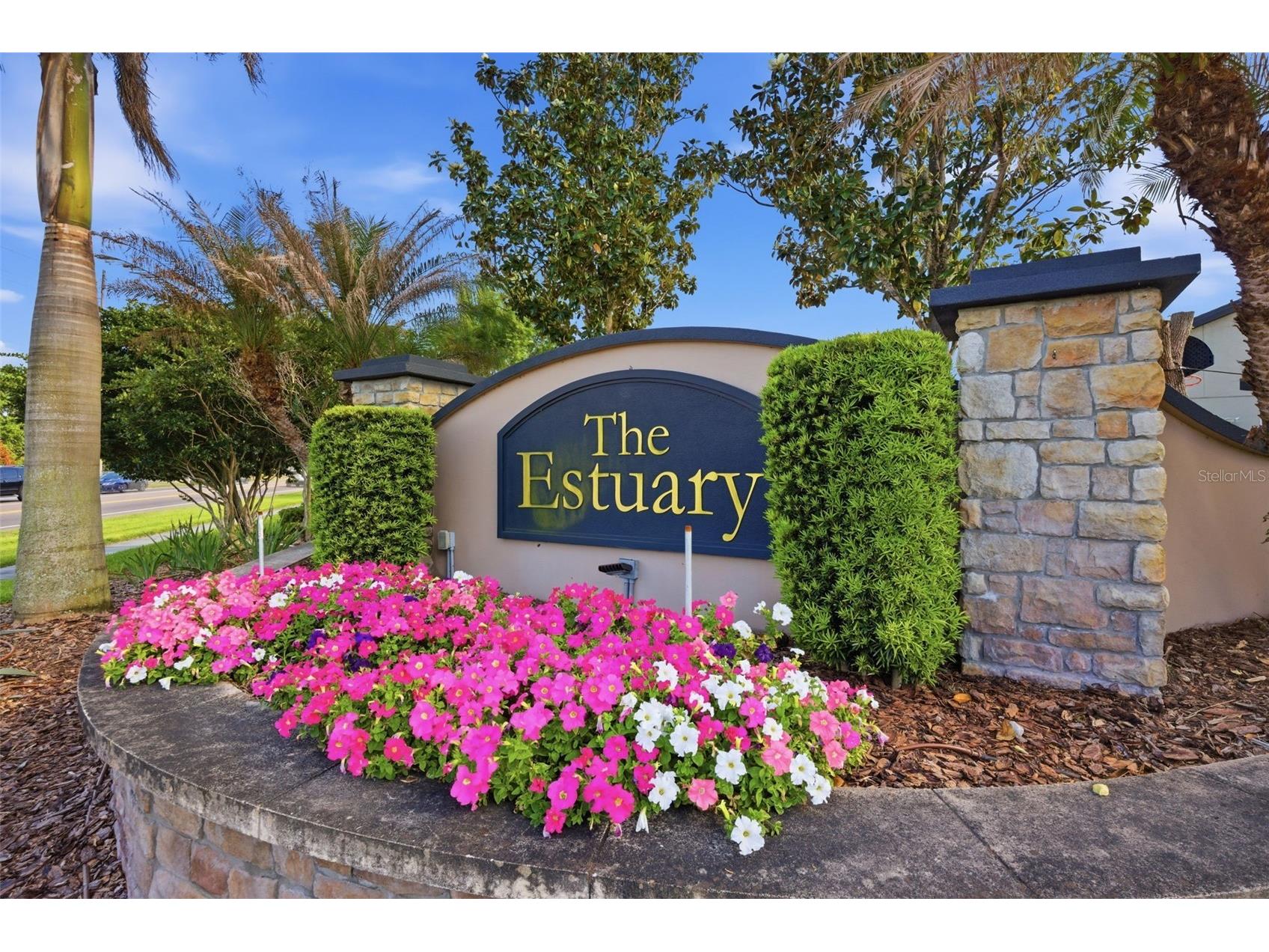 11623 Palmetto Pine Street Riverview FL 33569 TB8492219 image56