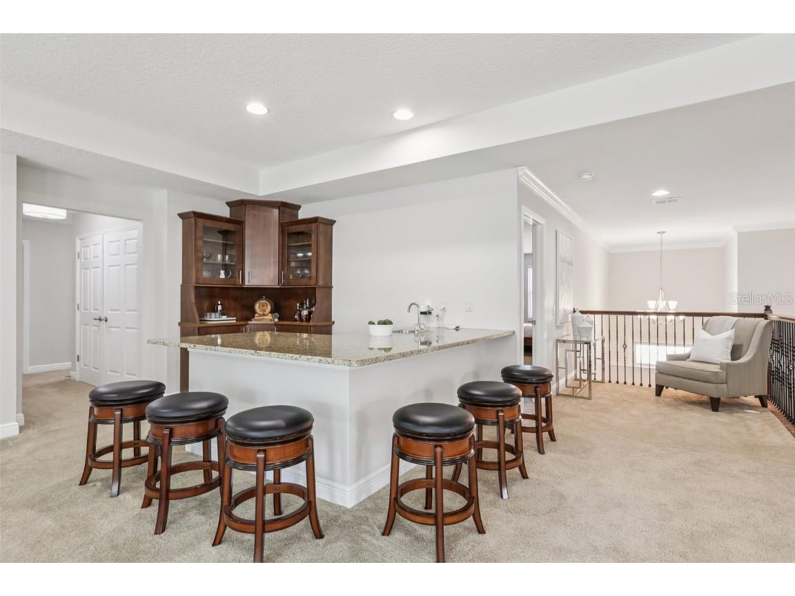 11624 Calf Path Drive Tampa FL 33626 TB8448415 image41