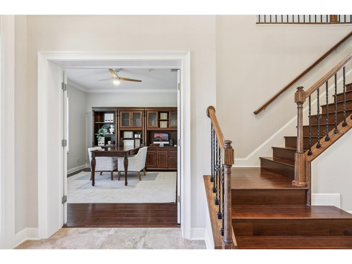 11624 Calf Path Drive Tampa FL 33626 TB8448415 image49