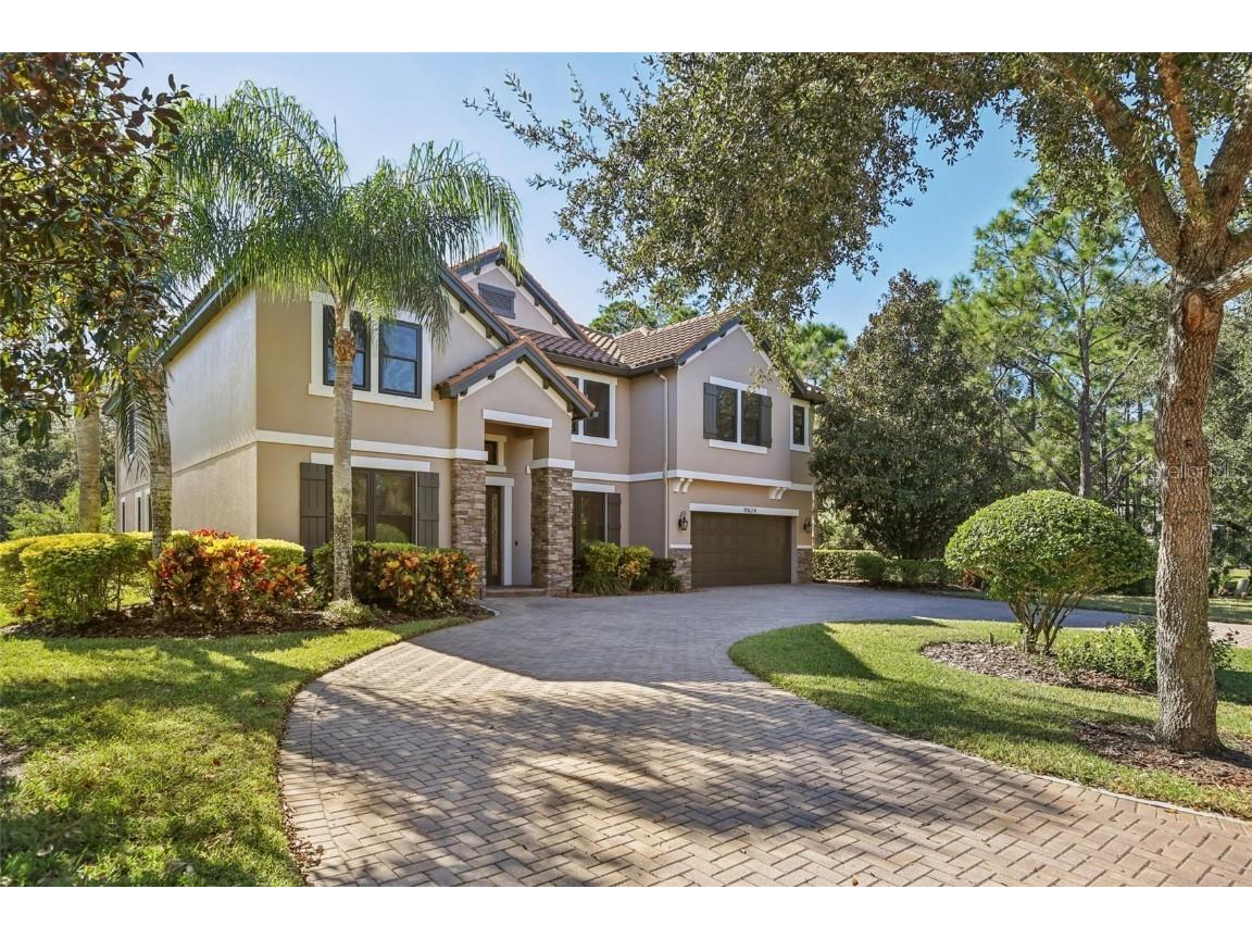 11624 Calf Path Drive Tampa FL 33626 TB8448415 image5