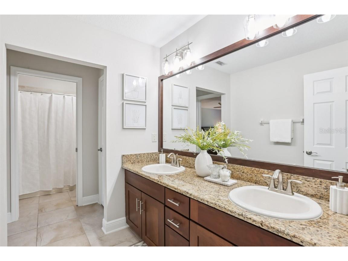 11624 Calf Path Drive Tampa FL 33626 TB8448415 image56