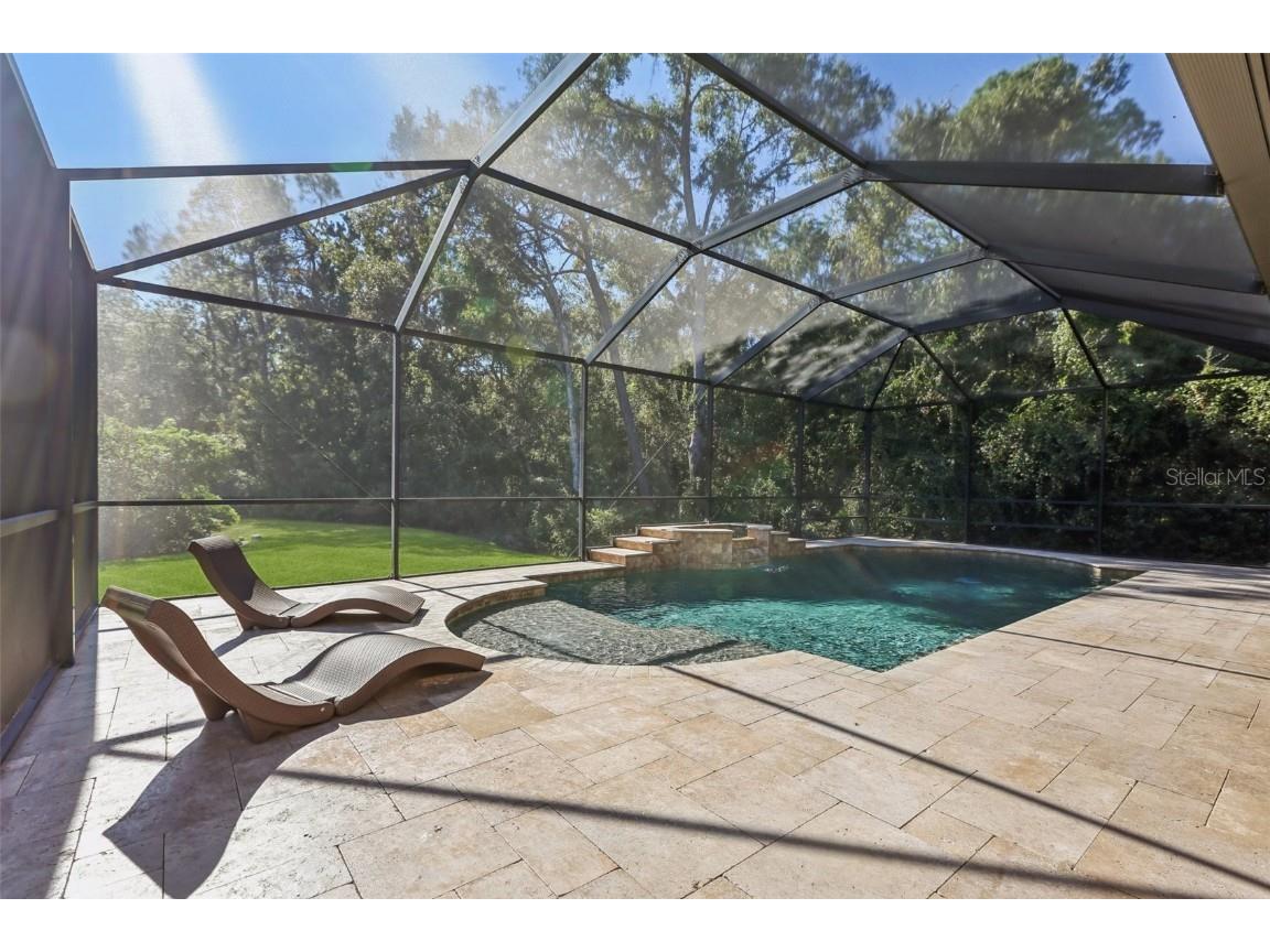 11624 Calf Path Drive Tampa FL 33626 TB8448415 image66