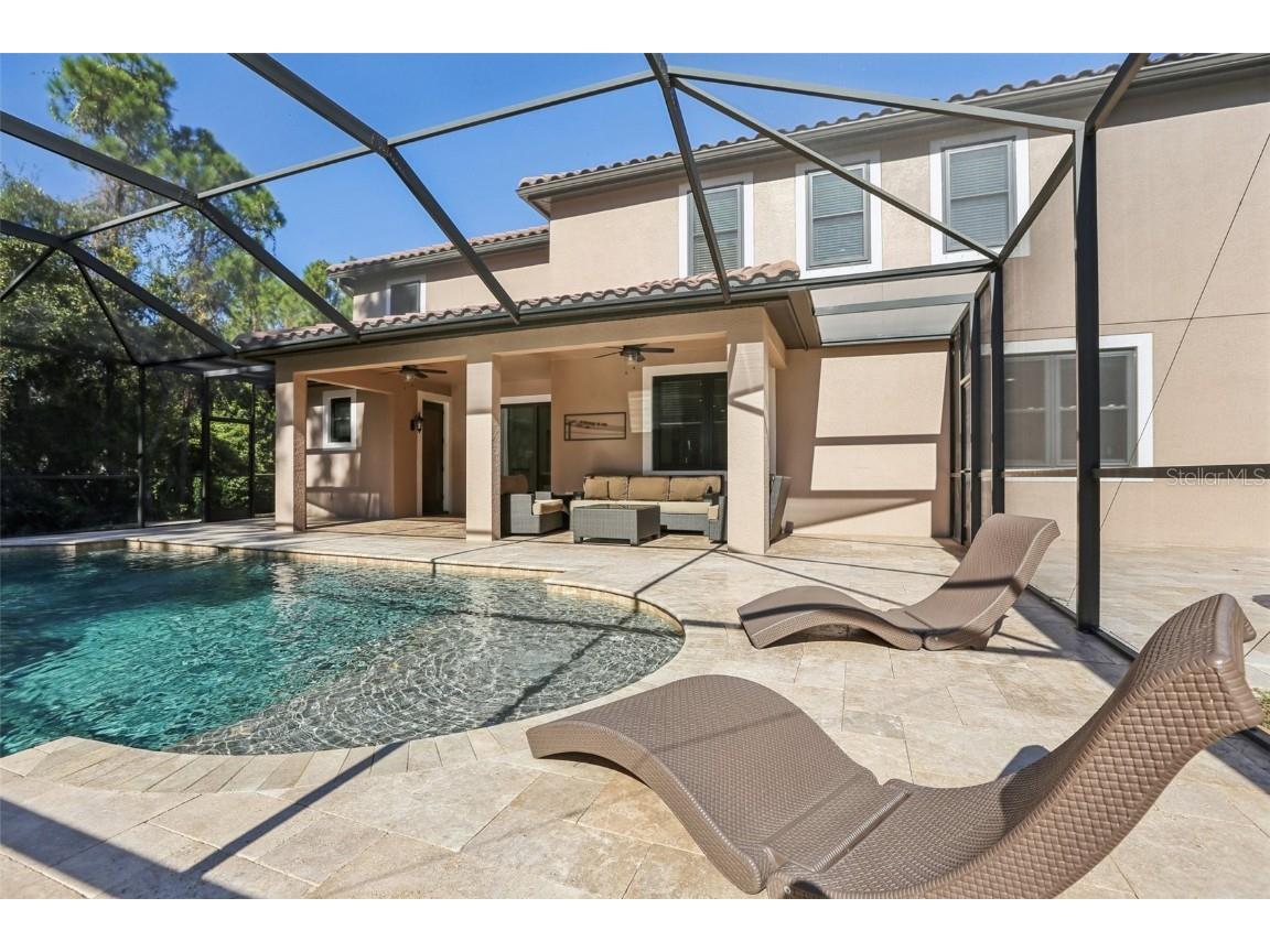 11624 Calf Path Drive Tampa FL 33626 TB8448415 image67