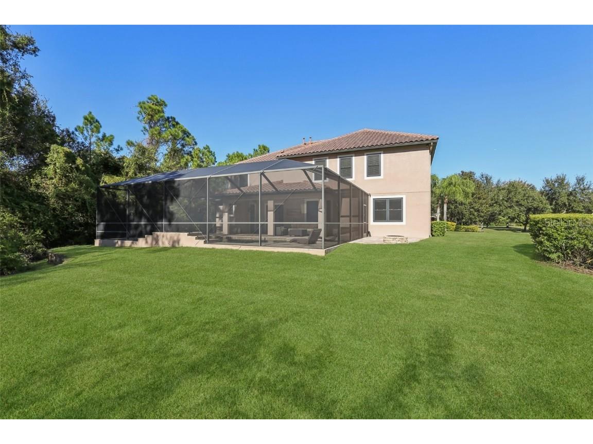 11624 Calf Path Drive Tampa FL 33626 TB8448415 image71