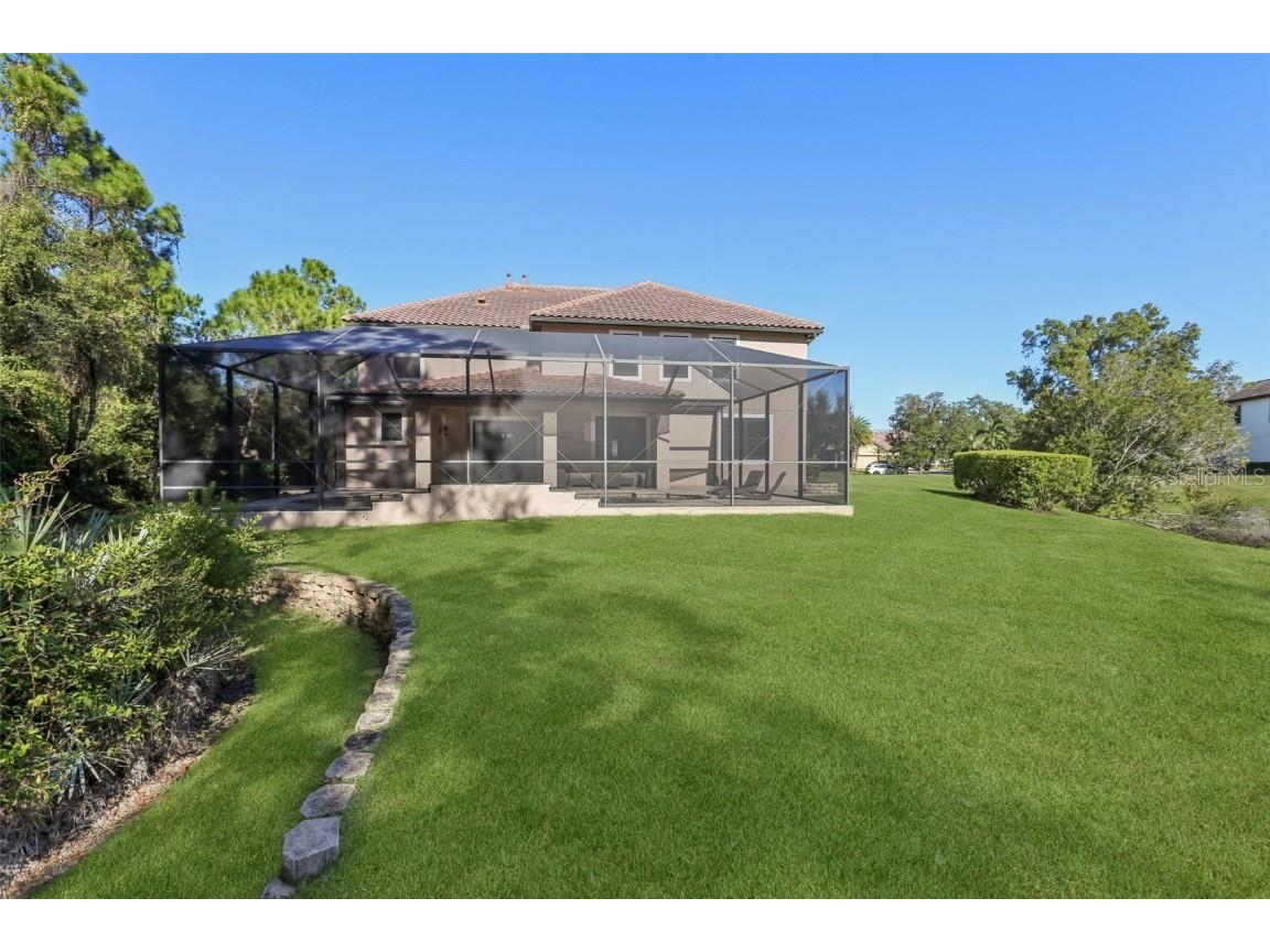 11624 Calf Path Drive Tampa FL 33626 TB8448415 image72