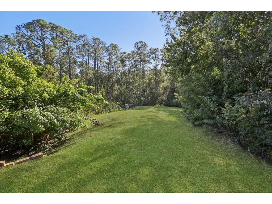 11624 Calf Path Drive Tampa FL 33626 TB8448415 image73