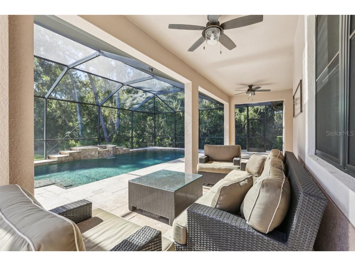 11624 Calf Path Drive Tampa FL 33626 TB8448415 image78