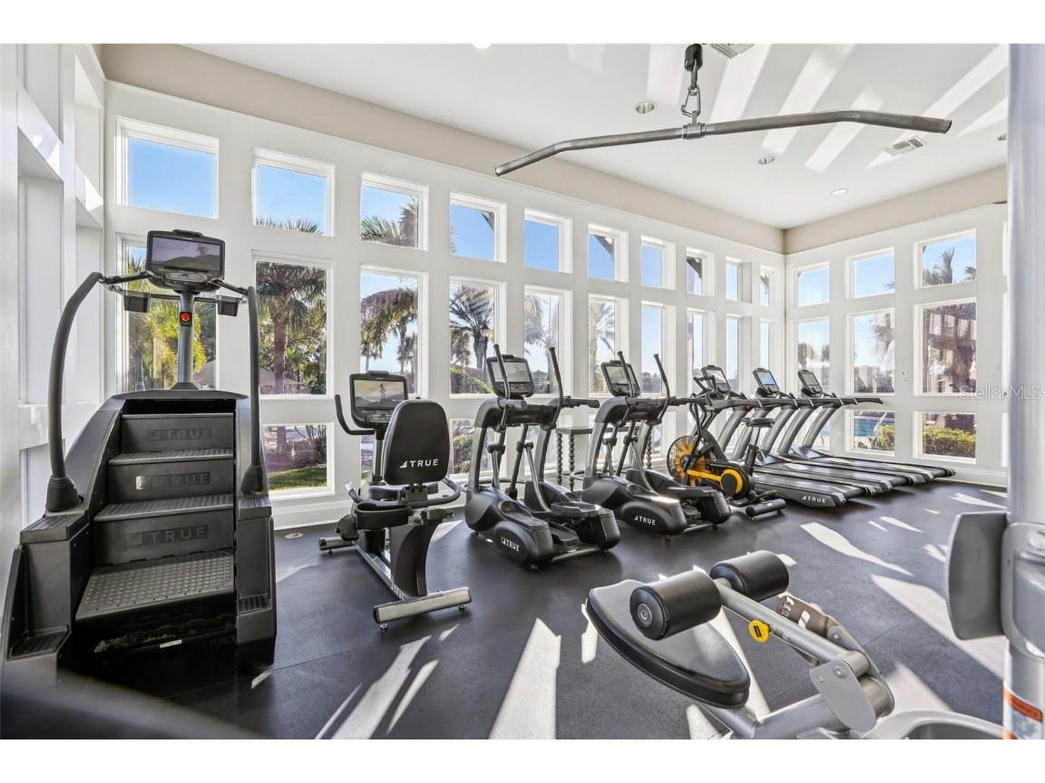 11624 Calf Path Drive Tampa FL 33626 TB8448415 image84