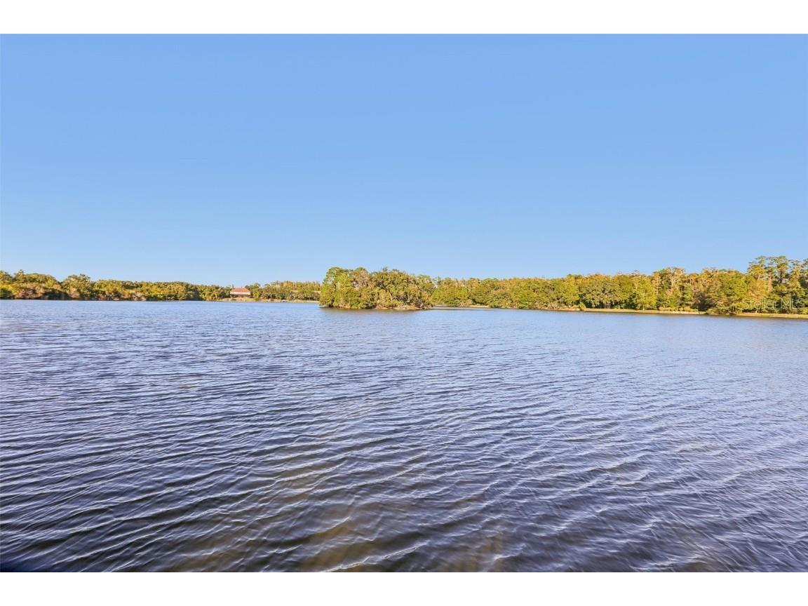 11624 Calf Path Drive Tampa FL 33626 TB8448415 image88