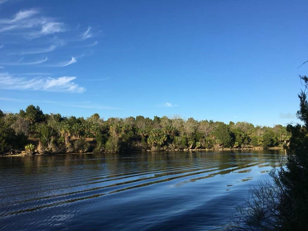 11624 N Landover Terrace Dunnellon FL 34434 O6366532 image13
