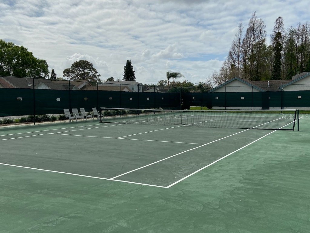 11624 Peach Grove Lane Orlando FL 32821 TB8435383 image25