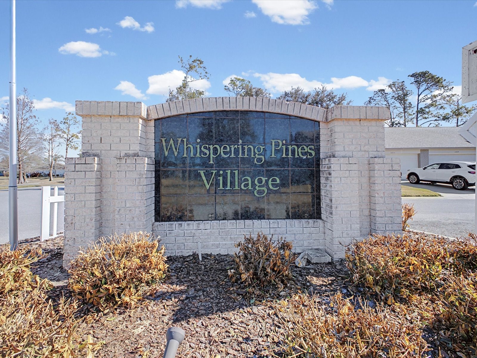 11625 Baronwood Court Hudson FL 34667 W7882694 image7