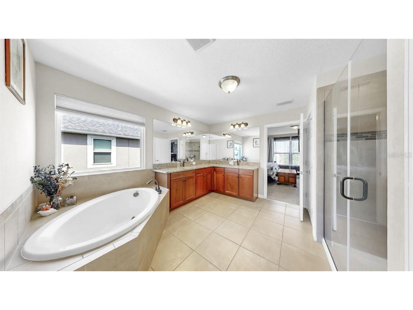 11625 Tetrafin Drive Riverview FL 33579 TB8376800 image39