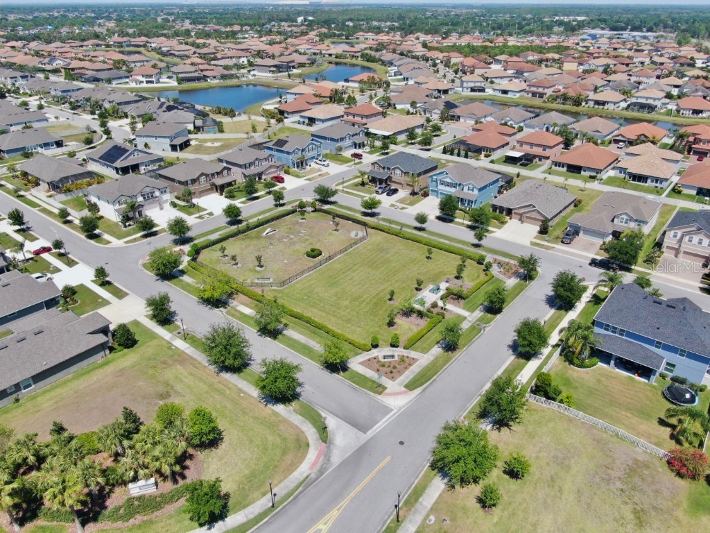 11625 Tetrafin Drive Riverview FL 33579 TB8376800 image60