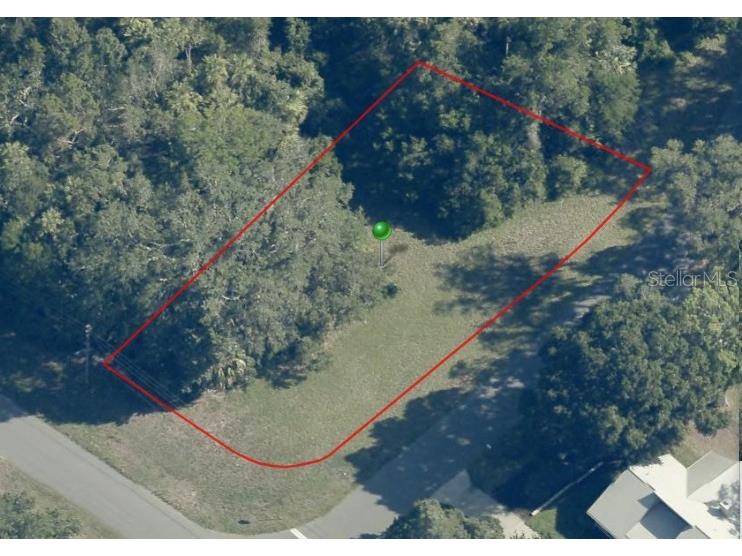 11625 W Timberlane Drive Homosassa FL 34448 OM719999 image1