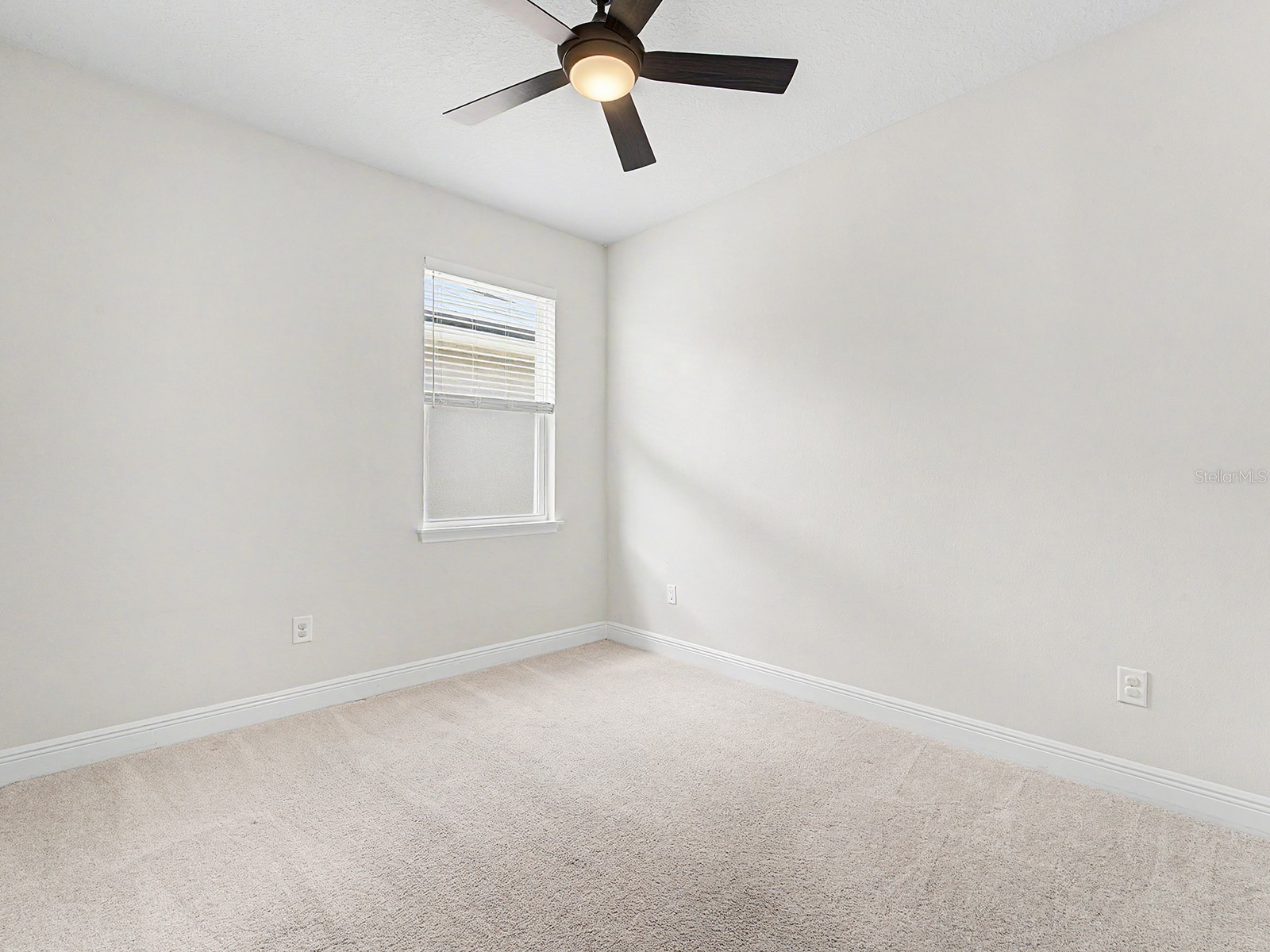 11626 Lake Lucaya Drive Riverview FL 33579 TB8505678 image23