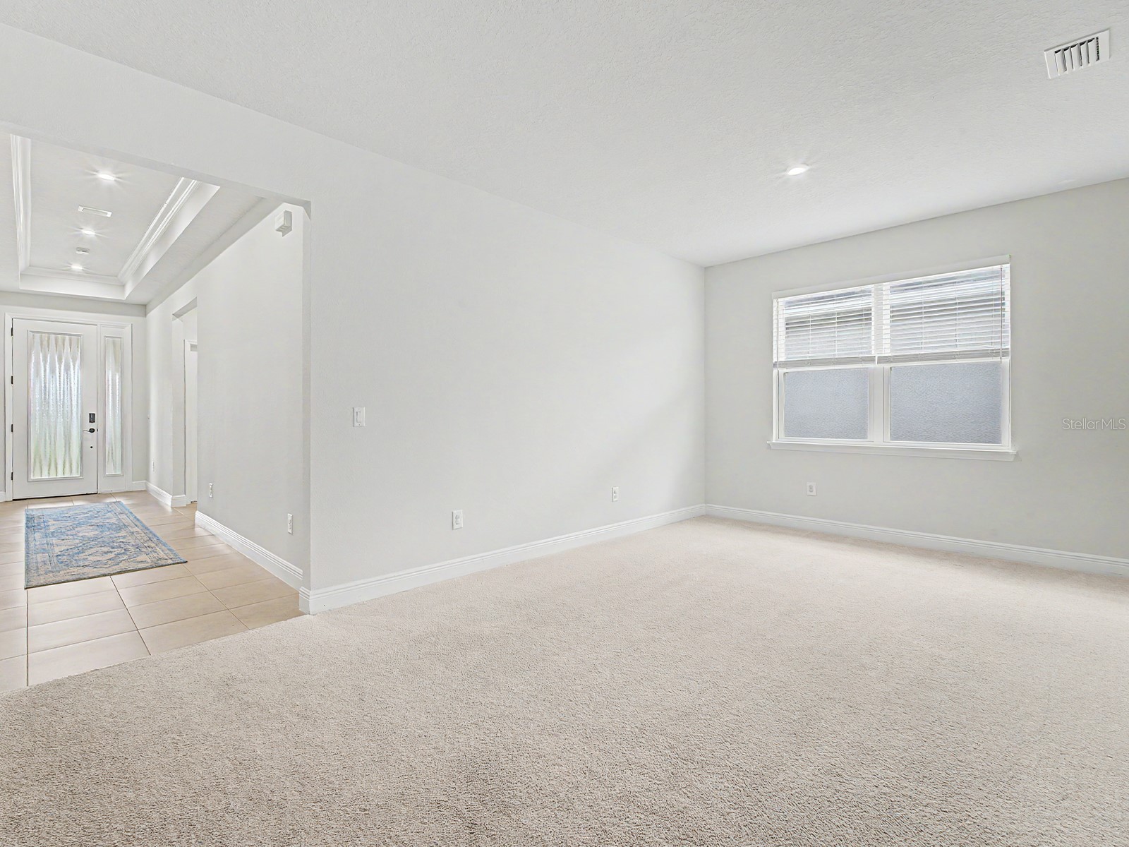 11626 Lake Lucaya Drive Riverview FL 33579 TB8505678 image29