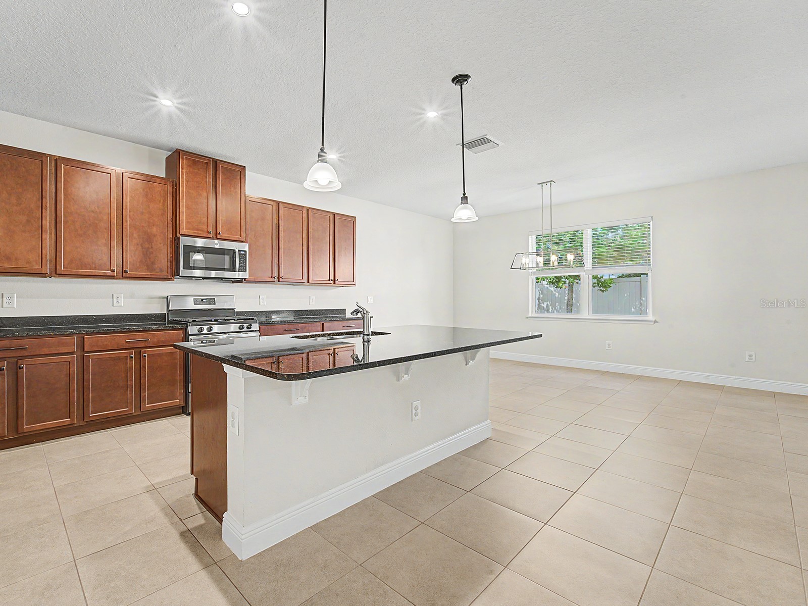 11626 Lake Lucaya Drive Riverview FL 33579 TB8505678 image32
