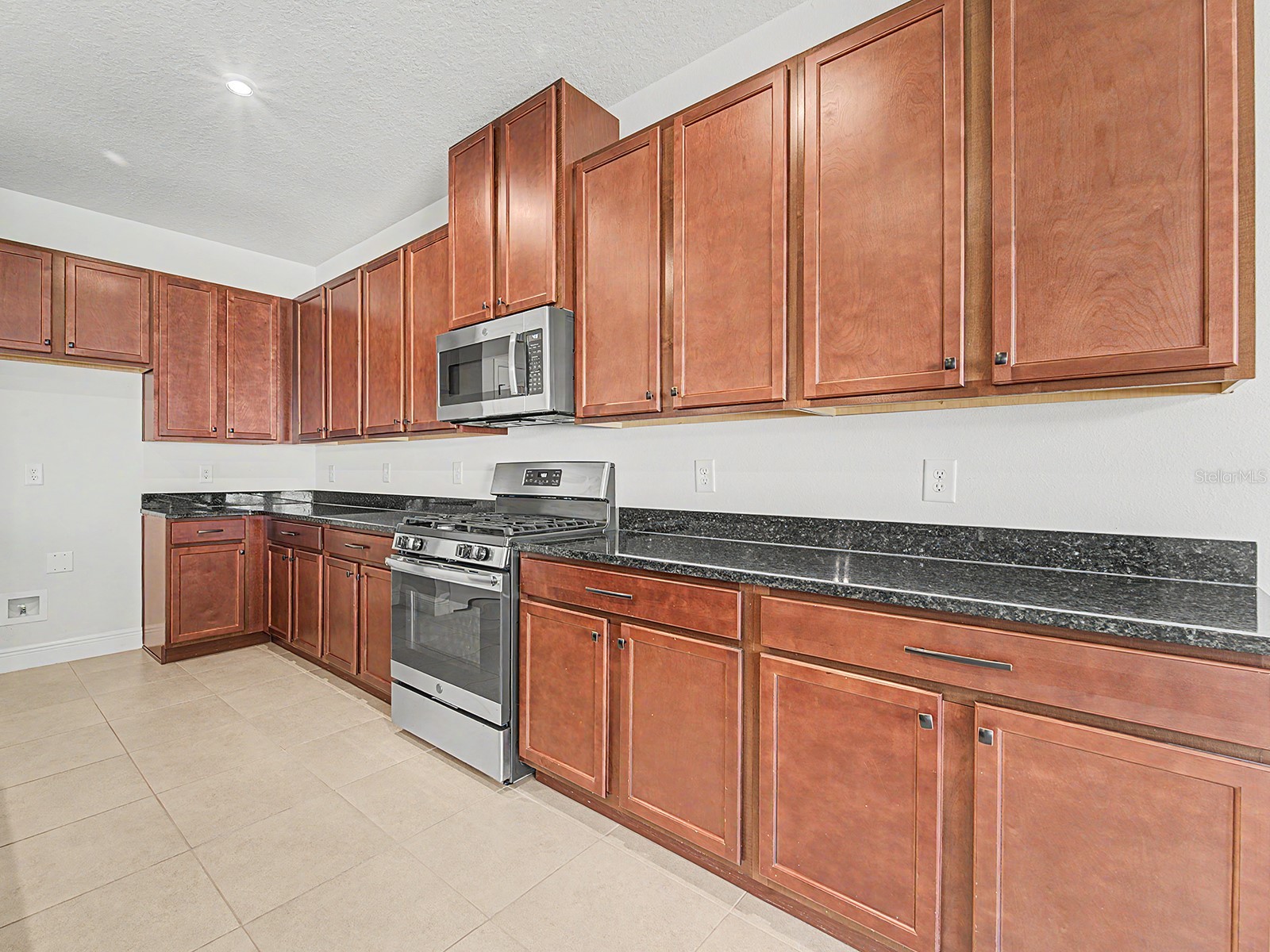 11626 Lake Lucaya Drive Riverview FL 33579 TB8505678 image33
