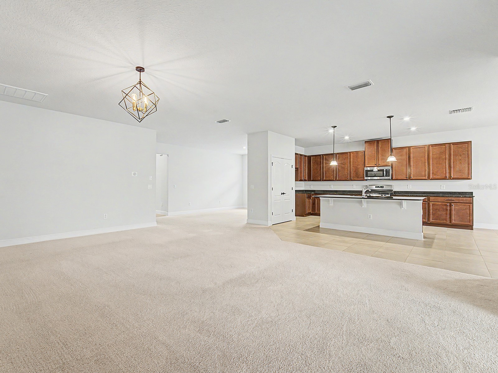 11626 Lake Lucaya Drive Riverview FL 33579 TB8505678 image34