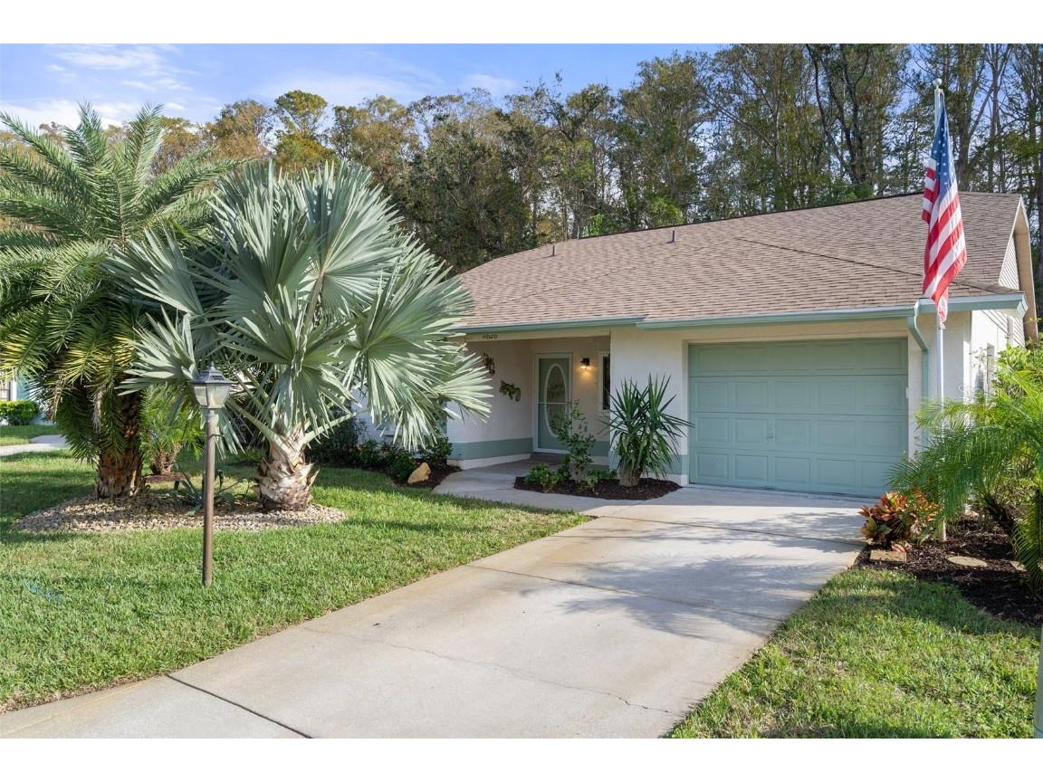 11626 White Ash Drive New Port Richey FL 34654 TB8319953 image1