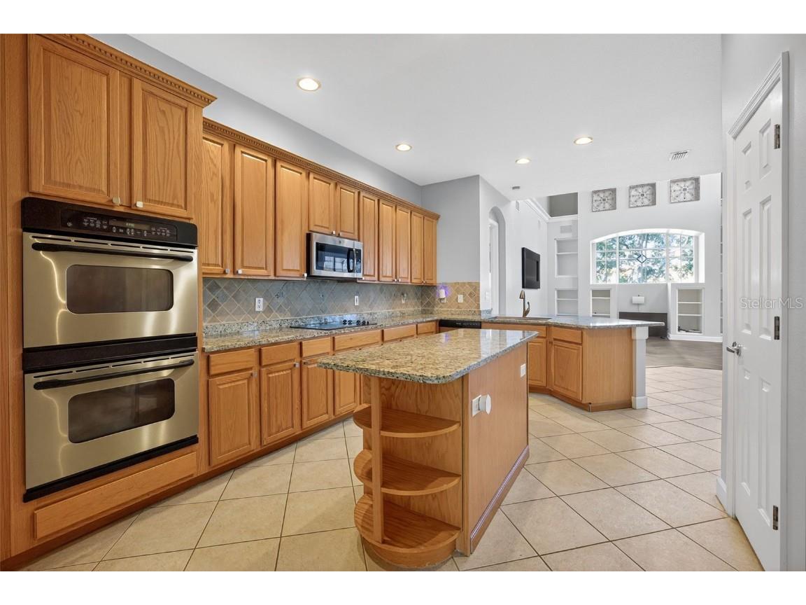 11627 Bristol Chase Drive Tampa FL 33626 O6361244 image19