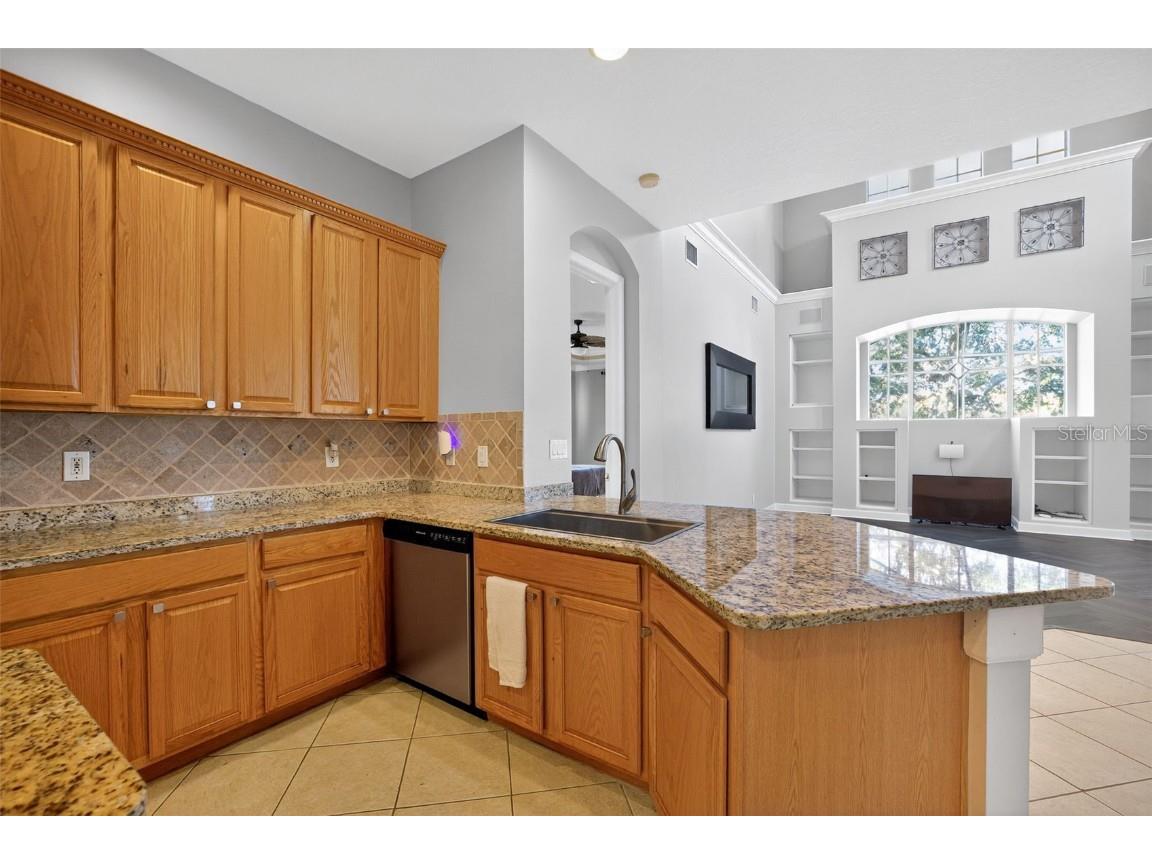 11627 Bristol Chase Drive Tampa FL 33626 O6361244 image20