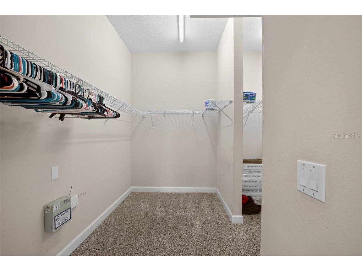 11627 Bristol Chase Drive Tampa FL 33626 O6361244 image24