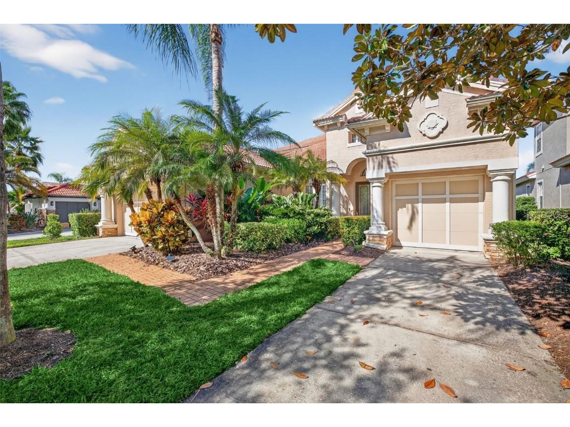 11627 Bristol Chase Drive Tampa FL 33626 O6361244 image3