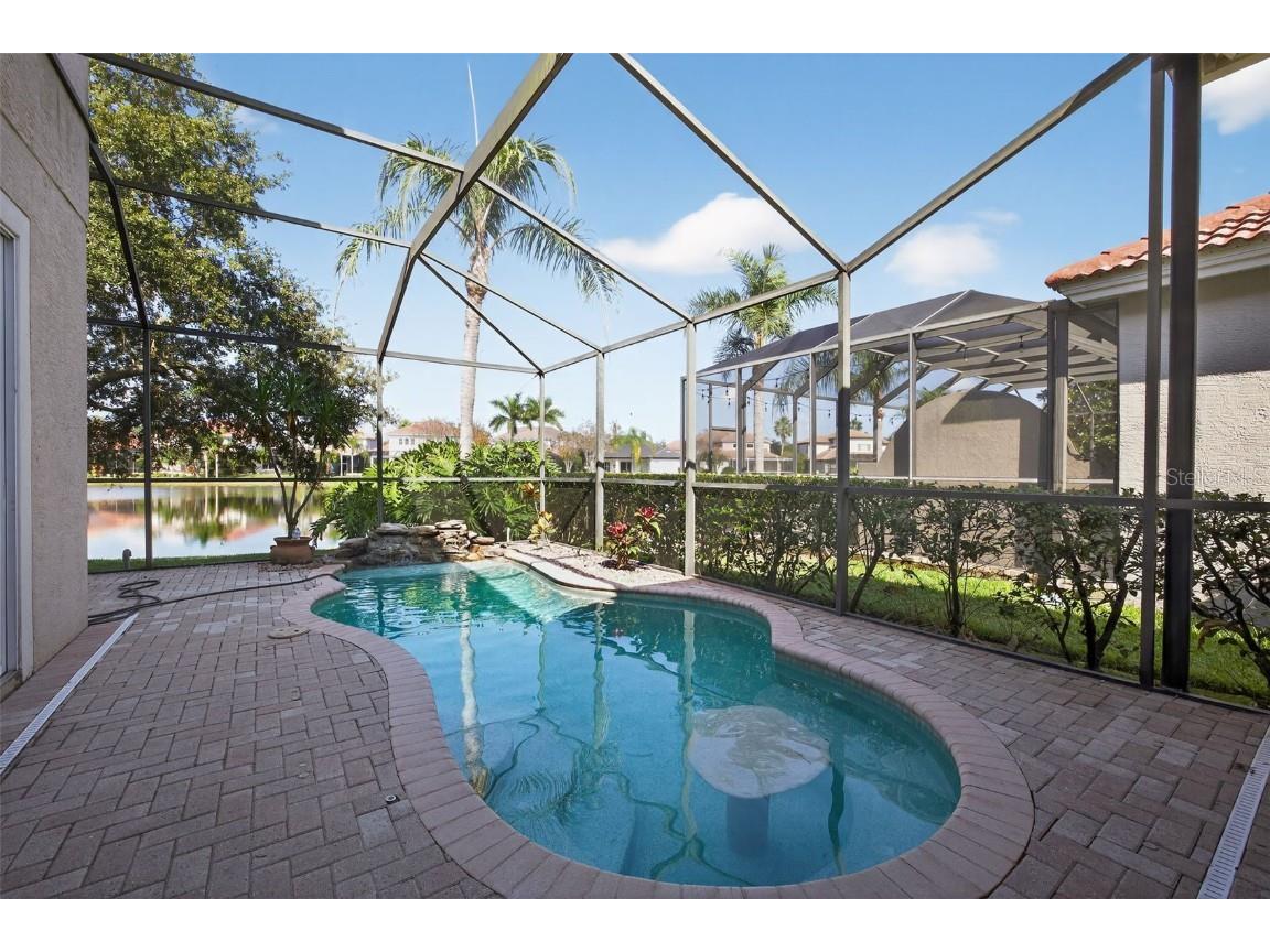 11627 Bristol Chase Drive Tampa FL 33626 O6361244 image38