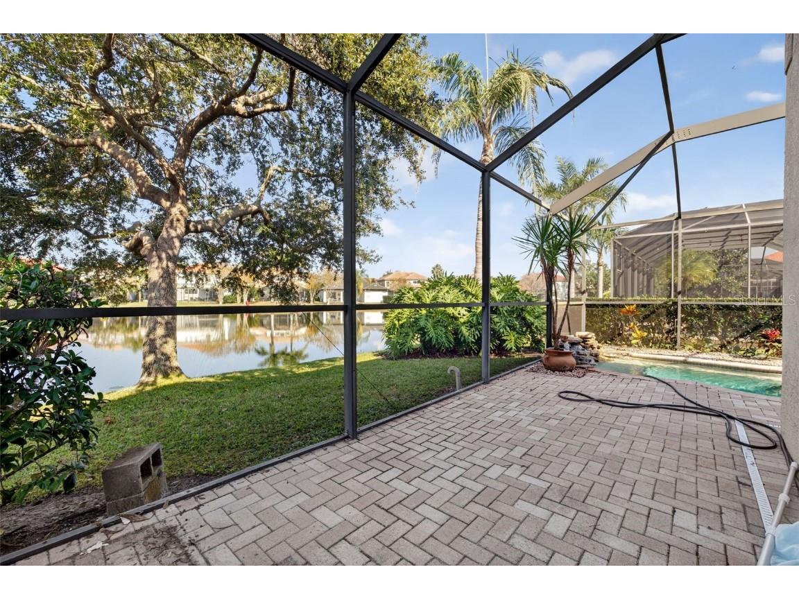 11627 Bristol Chase Drive Tampa FL 33626 O6361244 image40
