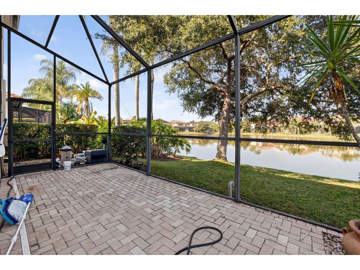 11627 Bristol Chase Drive Tampa FL 33626 O6361244 image41