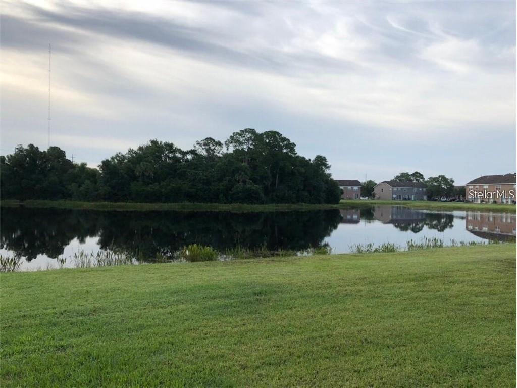 11627 Colony Lake Drive Tampa FL 33635 TB8427615 image8